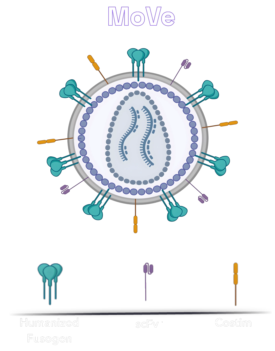 Our Science Illustration Move