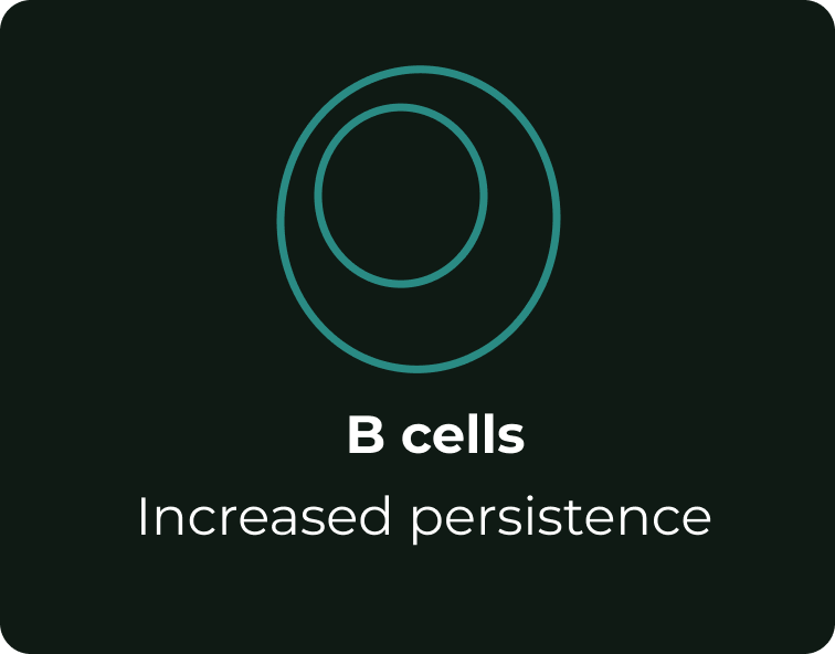 Our Science Tile Immune B Cells