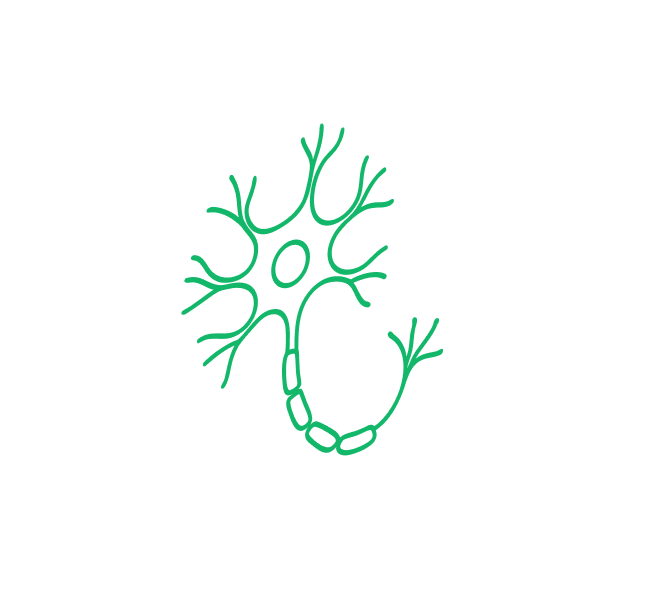 Our Science Tile Non Immune Neuron